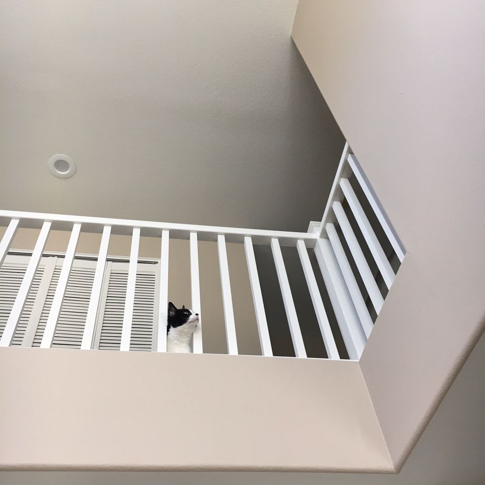 Here is the beautiful paint Nicos picked out ~ Dunn-Edwards "Sahara" in