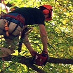 Tree Service South Bend  Photo of South Bend Lawn and Tree Service - South Bend, IN, United States