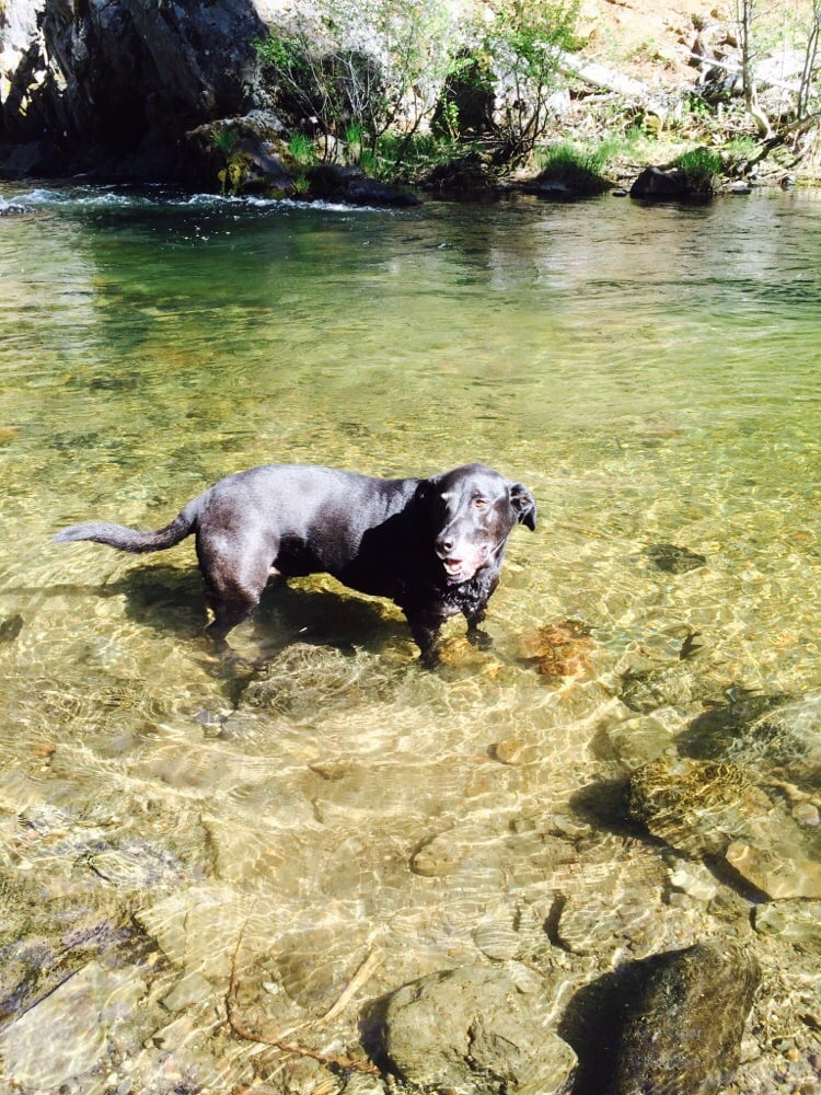 Butte Creek Watershed Conservancy