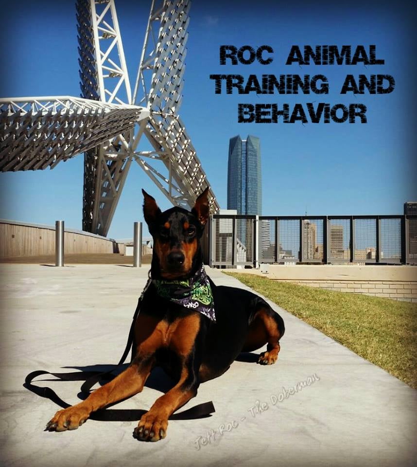 ROC Animal Training and Behavior Pet Training 9120 S Walker Ave
