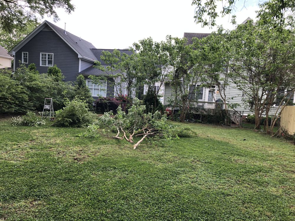 Gonzalez Garden and Landscape