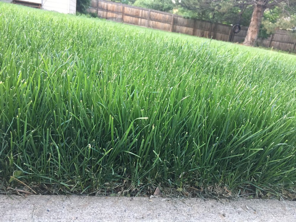 Clean Air Lawn Care