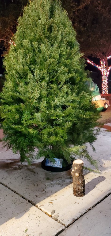 Holiday Hills Christmas Trees