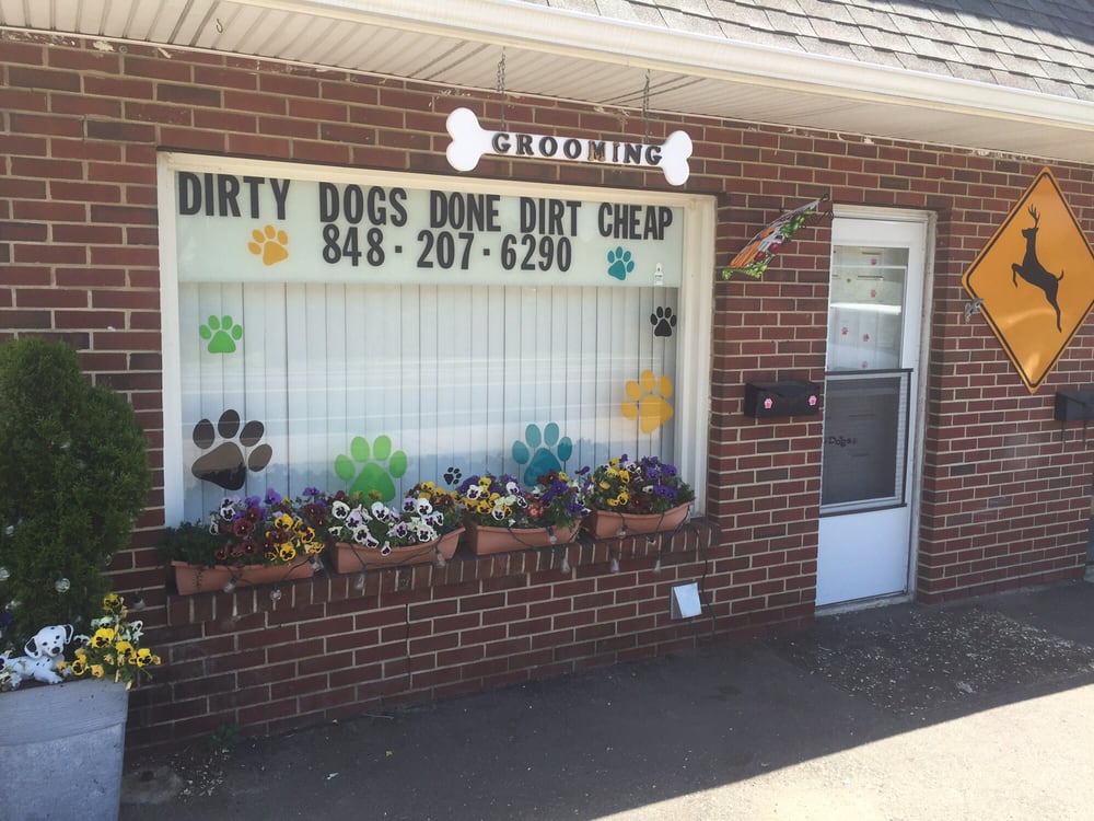 All Paws Veterinary Hospital 15 Reviews Veterinarians 1732 State