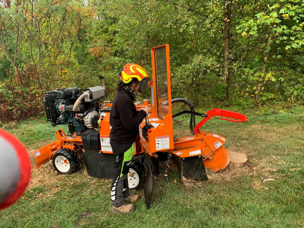 Monster Tree Service of North Pittsburgh