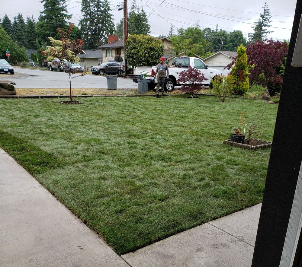 G and D Landscaping