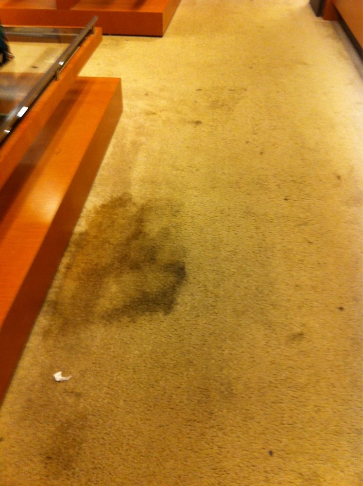 Belk Department Store