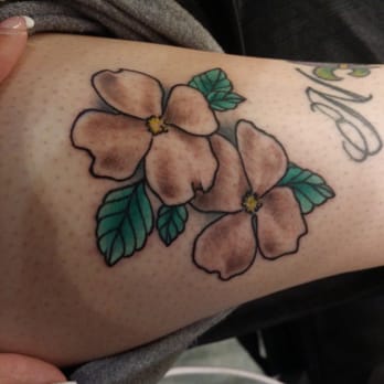 wild oats tattoo 17 photos u0026 12 reviews tattoo 13209 wild oats tattoo 17 photos u0026 12 reviews tattoo 13209