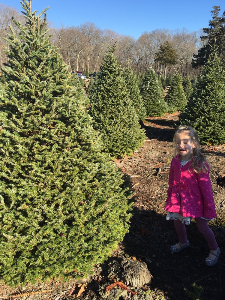 lockwood christmas tree farm 10則評語 聖誕樹 129 austin lockwood christmas tree farm 10則評語 聖誕樹 129 austin