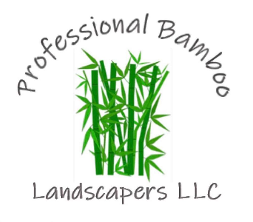 Professional Bamboo Landscapers