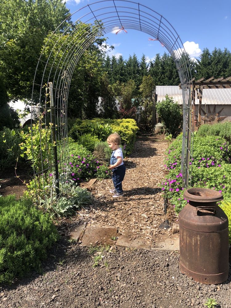 Scented Acres Lavendar Farm