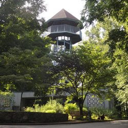 Top 10 Best Things To Do Near Hickman Tn 38567 Last Updated May
