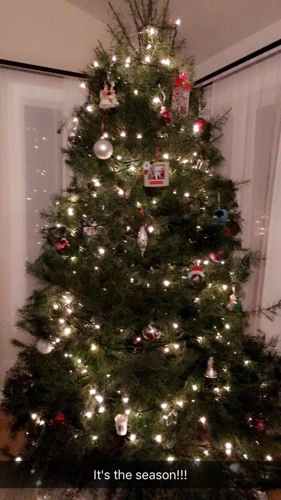 delancy street christmas tree lot 10 reviews christmas delancy street christmas tree lot 10 reviews christmas