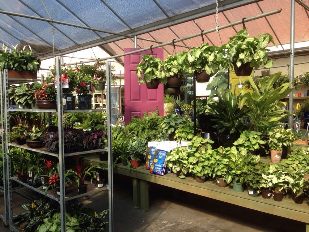 Pike Nurseries Nurseries & Gardening 1105 Peachtree Industrial Blvd