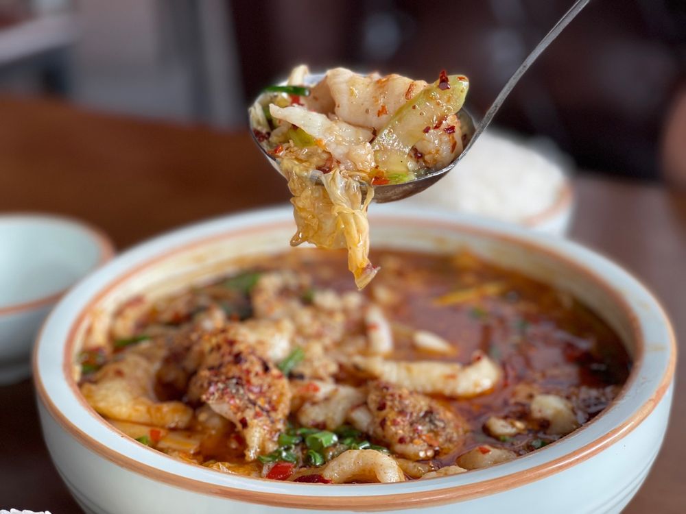 SXY Szechuan SXY Szechuan