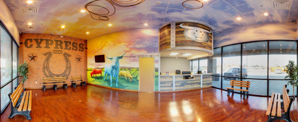 image of business Rodeo Dental & Orthodontics