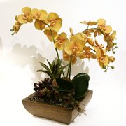 California Silk Plant Company Home Decor 27781 B La Paz Rd Photo Of California Silk Plant Company Laguna Niguel Ca United States