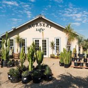 Monrovia Nursery Nurseries Gardening 32643 Road 196 Woodlake Mid Valley Trees