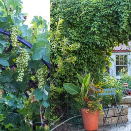 Garden Design Nursery photos for madeline george garden design, nursery & garden center Garden Design Nursery photos for madeline george garden design, nursery & garden center