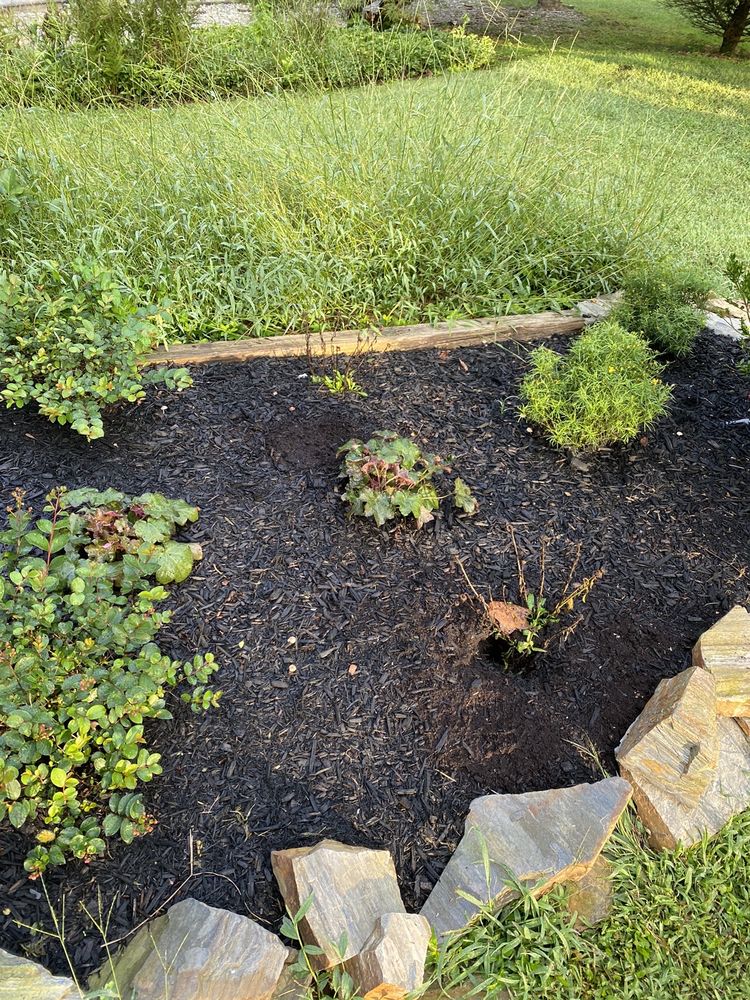Kelly's Landscaping