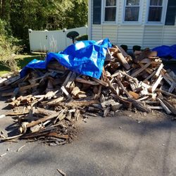 timberwolf tree service firewood photo of timberwolf tree service hightstown nj united states according to john 23 photos services 94 disbrow timberwolf tree service firewood photo of timberwolf tree service hightstown nj united states according to john 23 photos services 94 disbrow