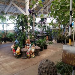 Moneta Nursery 96 Photos 32 Reviews Nurseries Gardening Photo Of Moneta Nursery Gardena Ca United States