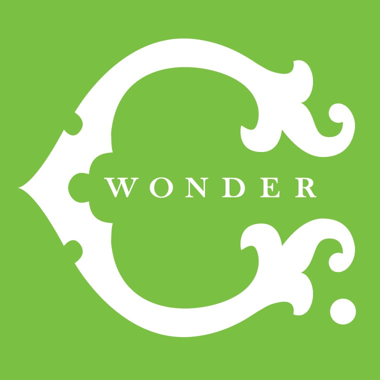 C. Wonder