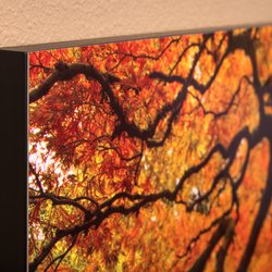 hd aluminum prints photography