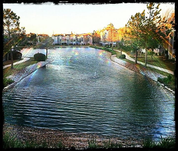 Lakes of Chateau Estates North 16 Photos Apartments 3700 Loyola