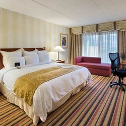 Renaissance Philadelphia Airport Hotel 120 Photos 114 Reviews Photo Of Renaissance Philadelphia Airport Hotel Pa United States Guestroom