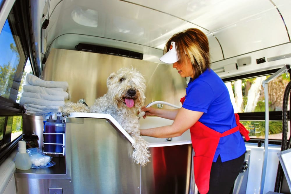 Aussie Pet Mobile North Metro Atlanta 49 Photos & 22 Reviews Pet