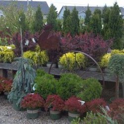 Turtle Creek Nursery Landscaping Nurseries Gardening 2449 Photo Of Turtle Creek Nursery Landscaping Owatonna Mn United States