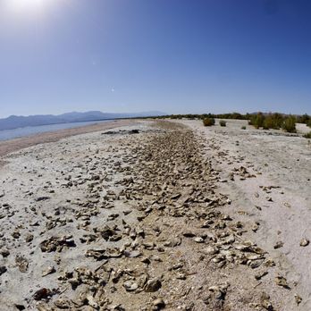 salton sea 374 photos 101 reviews boating 100 225 state park how did the salton sea form