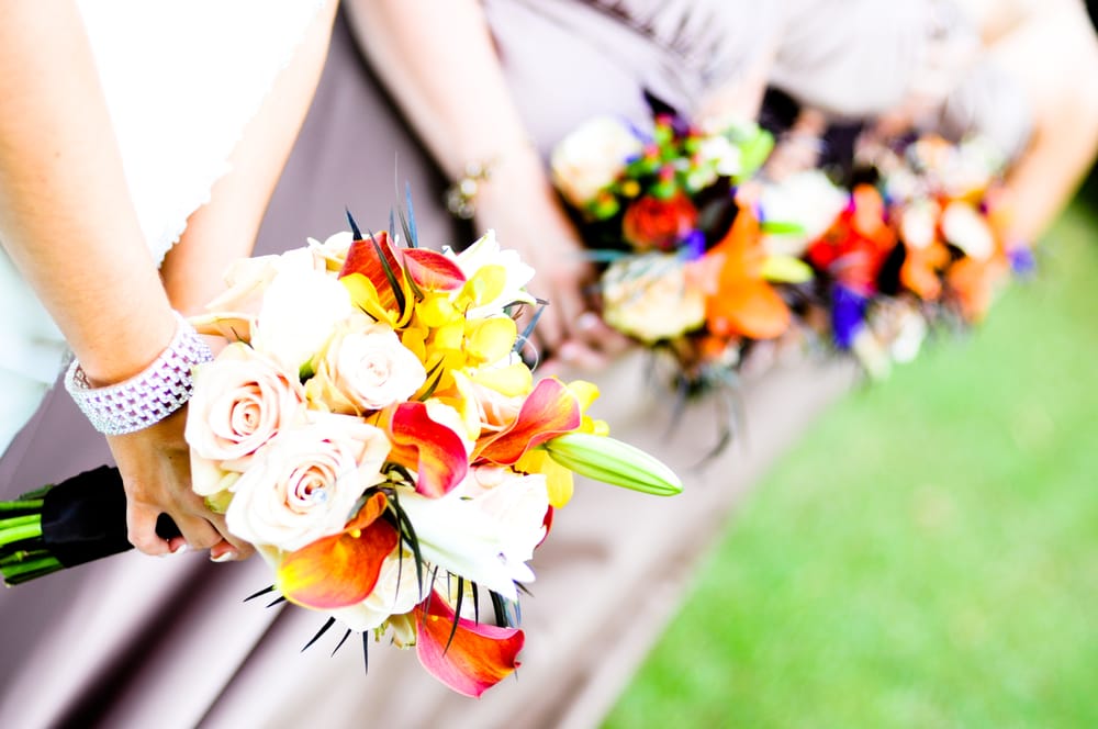 Kimberly Davidson Photography