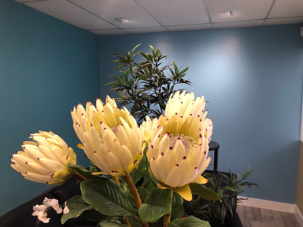 image of business Orange Coast Dental Specialty
