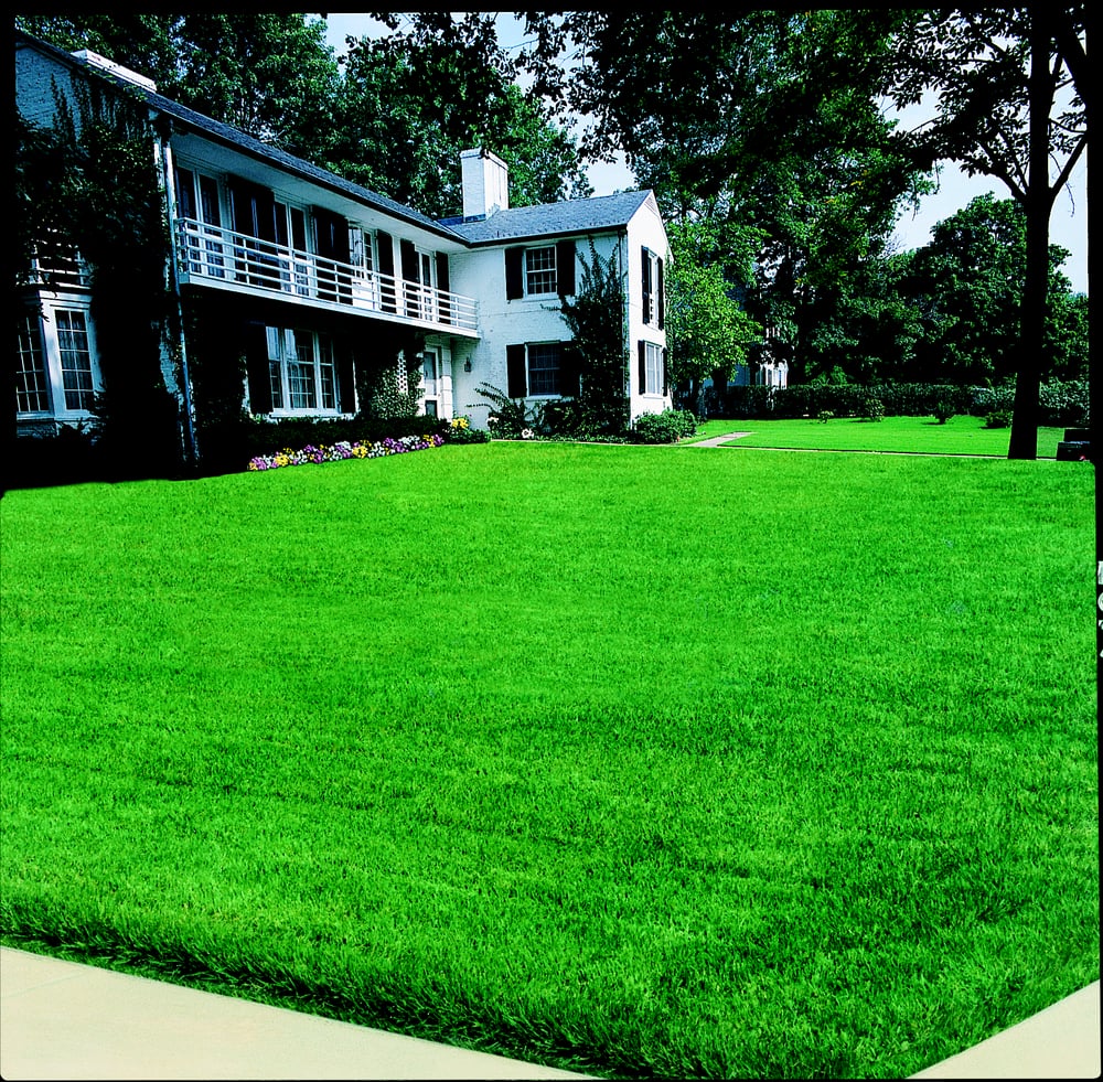 Photos For Zoysia Farm Nurseries Yelp Photo Of Zoysia Farm Nurseries Taneytown Md United States