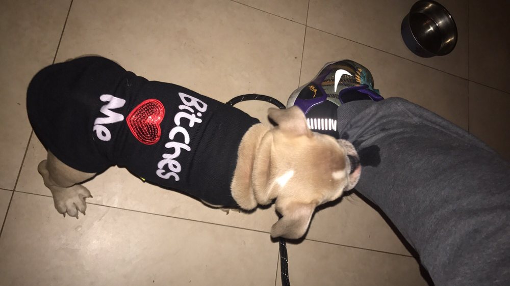 Anaheim Feed & Pet Supply 220 Photos & 260 Reviews Pet Stores