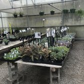 Half Moon Bay Nursery 275 Photos 170 Reviews Nurseries Photo Of Half Moon Bay Nursery Ca United States