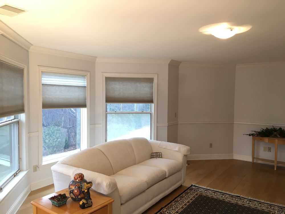 image of business CT Paint & Repair