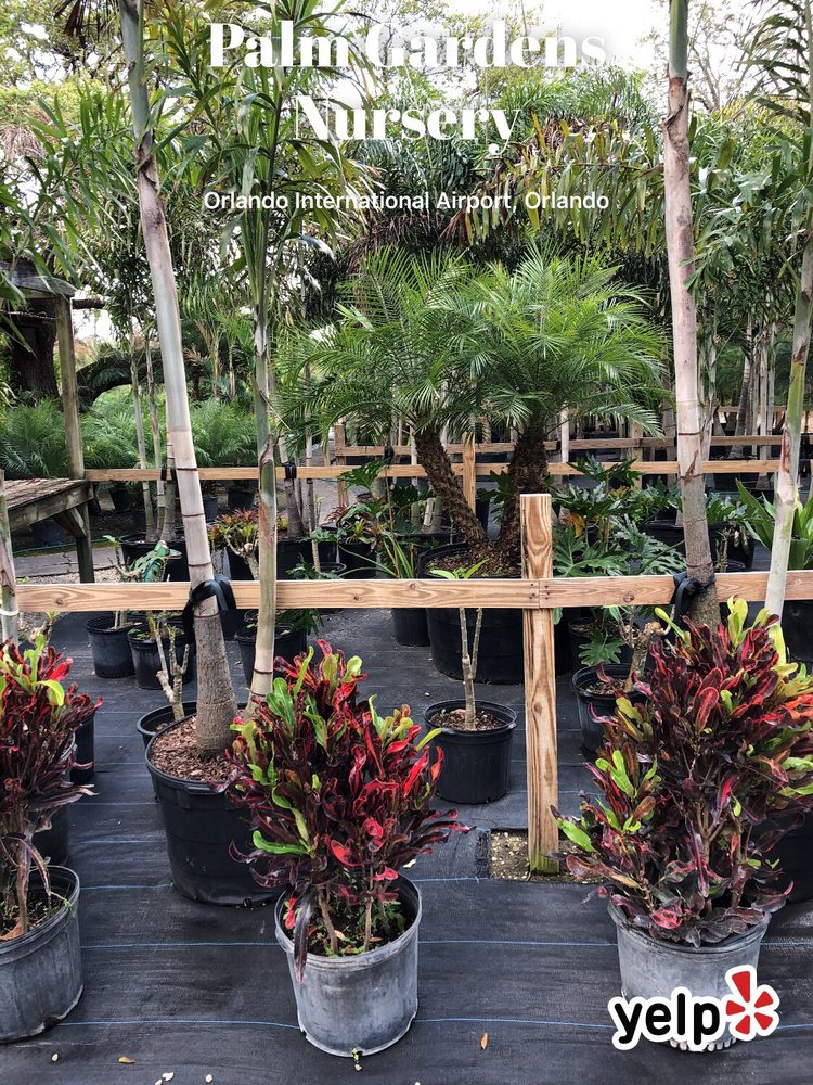 Palm Gardens Nursery Nurseries & Gardening 4761 Judge Rd, Orlando