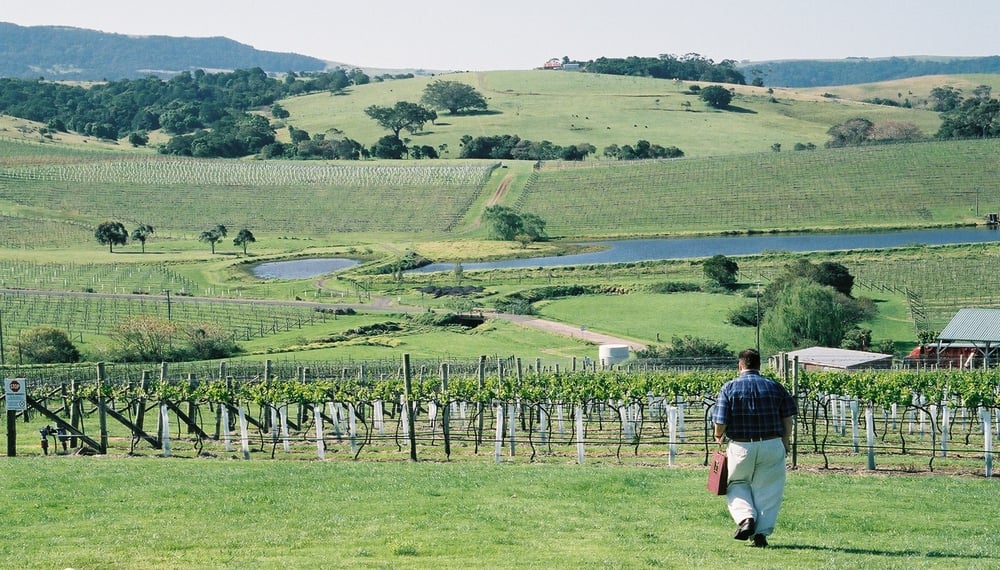 Crooked River Boutique Winery 15 Photos Wineries 11 Willow Vale