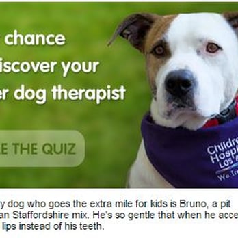 Dog Remedy Behavioral Training Dog Remedy Behavioral Training