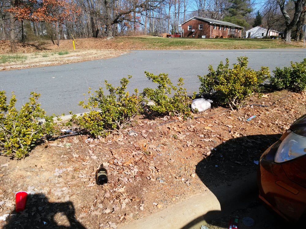 Family Dollar Store 7954