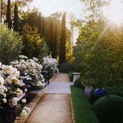 Down To Earth Landscapes 17 Photos Landscaping 226 Uhlan Ct Photo Of Down To Earth Landscapes Santa Barbara Ca United States Rose