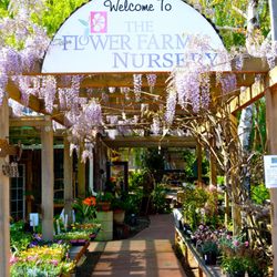 Flower Farm Nursery Gifts 23 Photos Nurseries Gardening Photo Of Flower Farm Nursery Gifts Loomis Ca United States