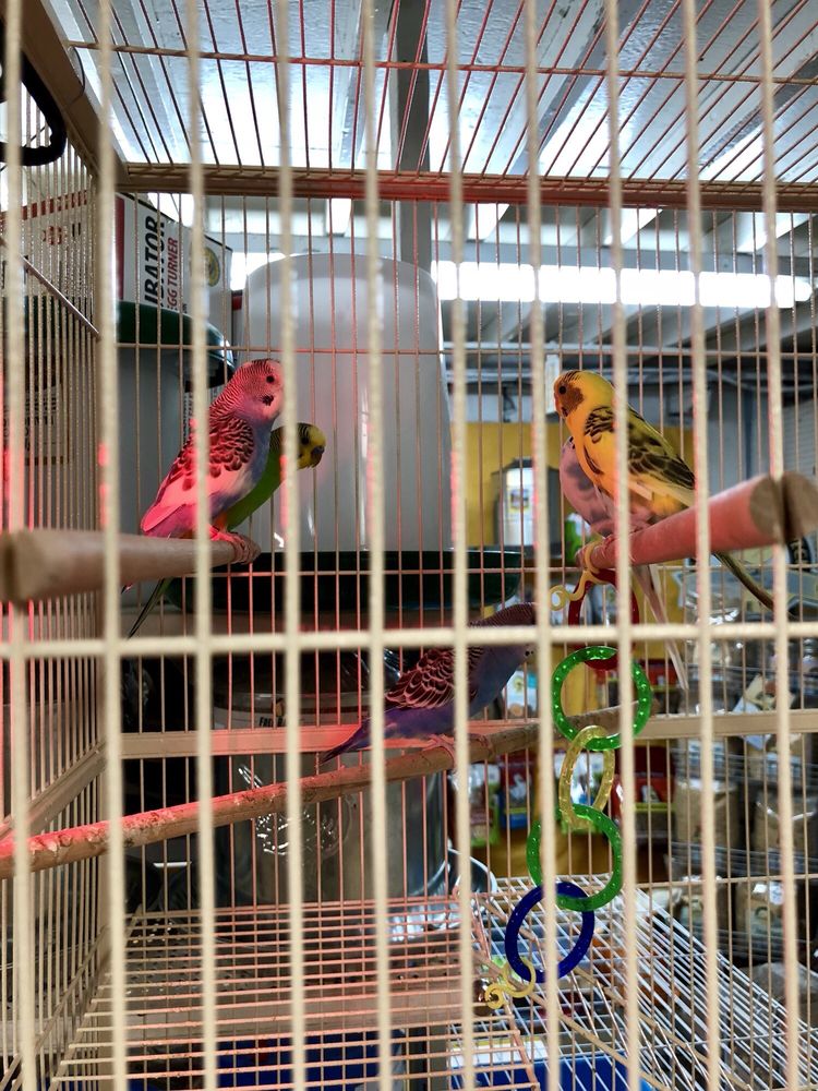 Malibu Feed Bin 59 Photos & 30 Reviews Pet Stores 3931 S Topanga Canyon Blvd, Malibu, CA