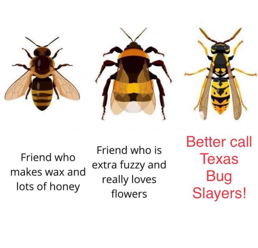 Texas Bug Slayers