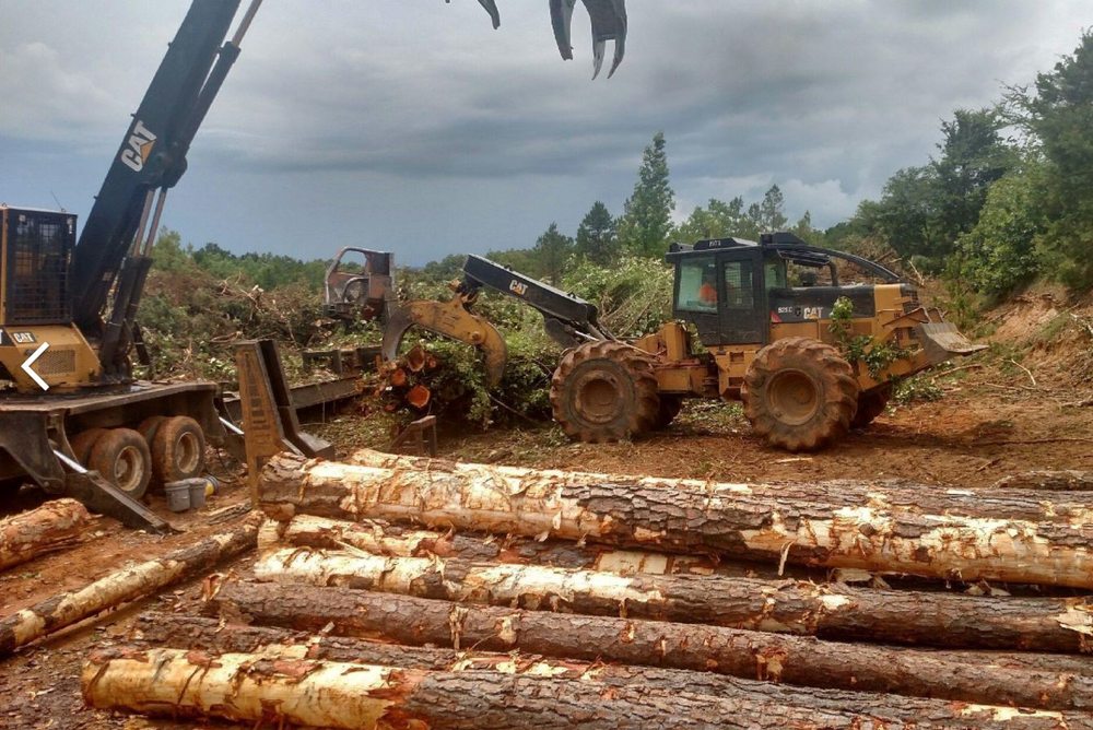 Timberline Forestry Tree Services 902 Collins Rd