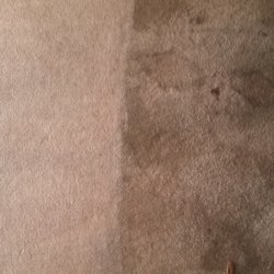 Best Carpet Cleaning Get Quote 1255 Belle Ave Photo Of Best Carpet Cleaning Winter Springs Fl United States
