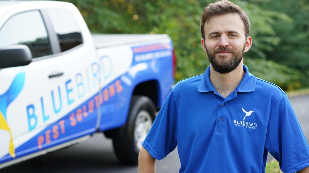 Bluebird Pest Solutions